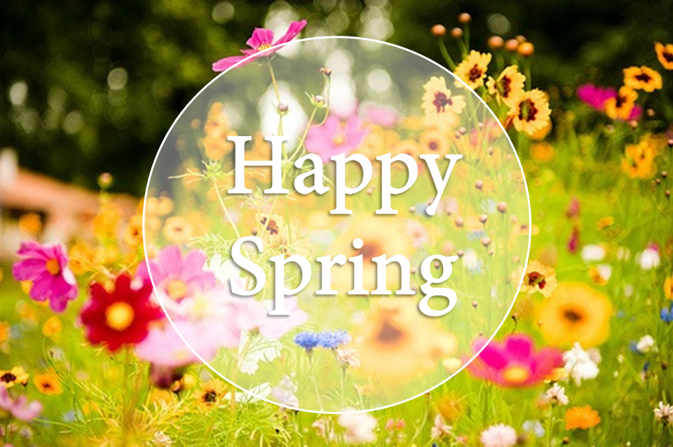 Happy Spring Day!